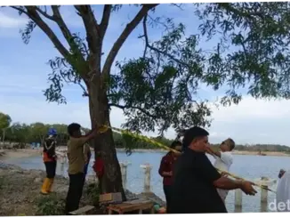 Penyegelan KEK Kura Kura Bali Menuai Kontroversi
