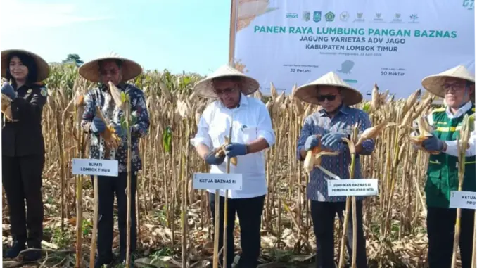 Perkuat Ketahanan Pangan, BAZNAS RI Hadirkan Balai Ternak di NTB