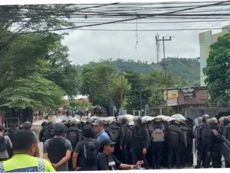 Polda Papua Barat Daya Amankan Pedagang Satwa Dilindungi