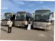 PPIH Siapkan 6.000 Bus yang Aman dan Nyaman untuk Layani Jamaah Haji