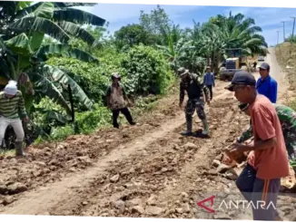 TNI: Membangun Negara Melalui Berbagai Upaya