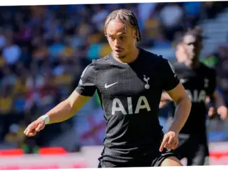 Tottenham Hotspur: Mencari Jalan Keluar dari Zona Degradasi