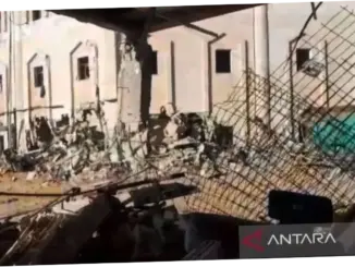 WHO: Perbaikan Sistem Kesehatan di Gaza Butuh Rp172 Triliun